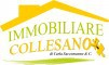 IMMOBILIARE COLLESANO S.A.S. DI CARLA SACCOMANNO & C.