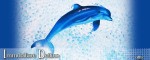 Immobiliare Delfino di Bresciani Francesco
