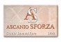 XXI Ascanio Sforza