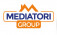 Mediatori Group Pontedera