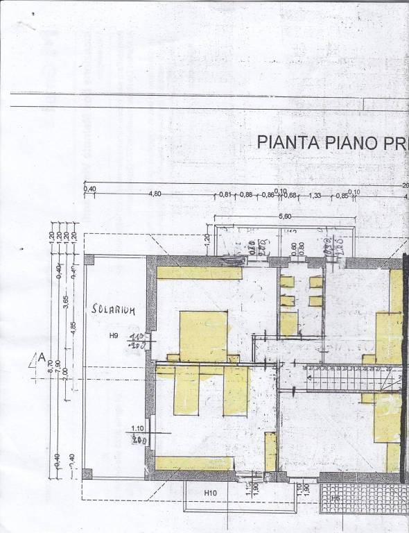 bifam GH 1 primo