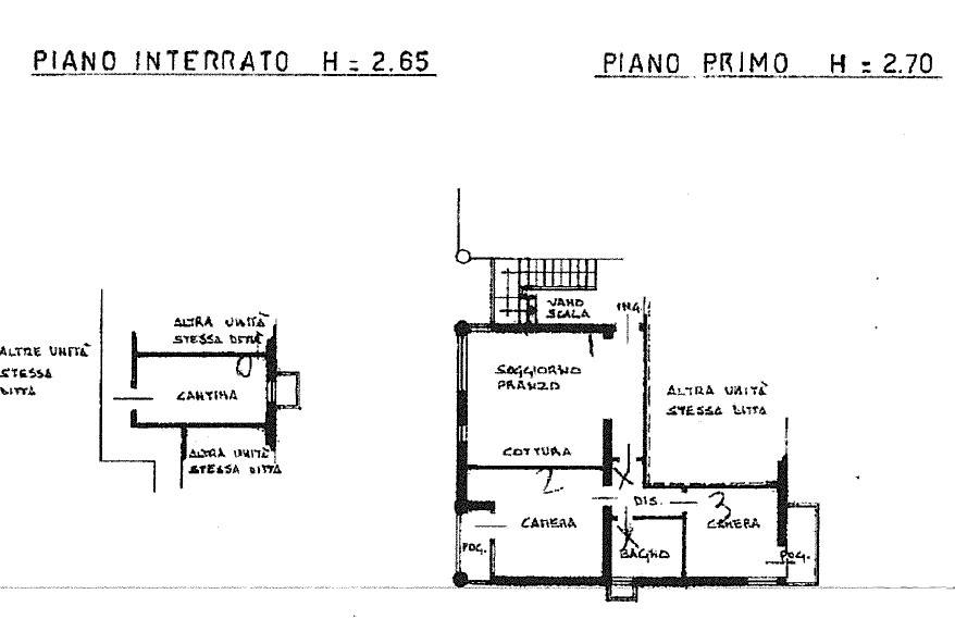 Pianta 1