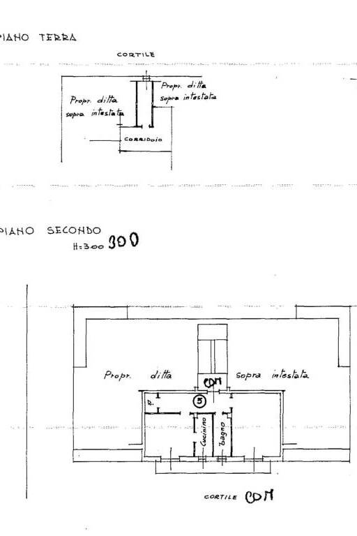 Planimetria Fg. 21 Part. 463 Sub. 11 1