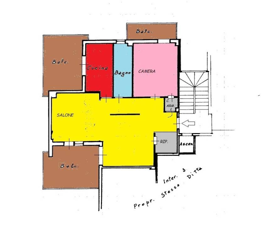 PLN COLORATA