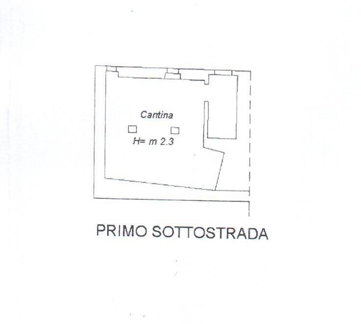 PhotoScan - Copia (2)