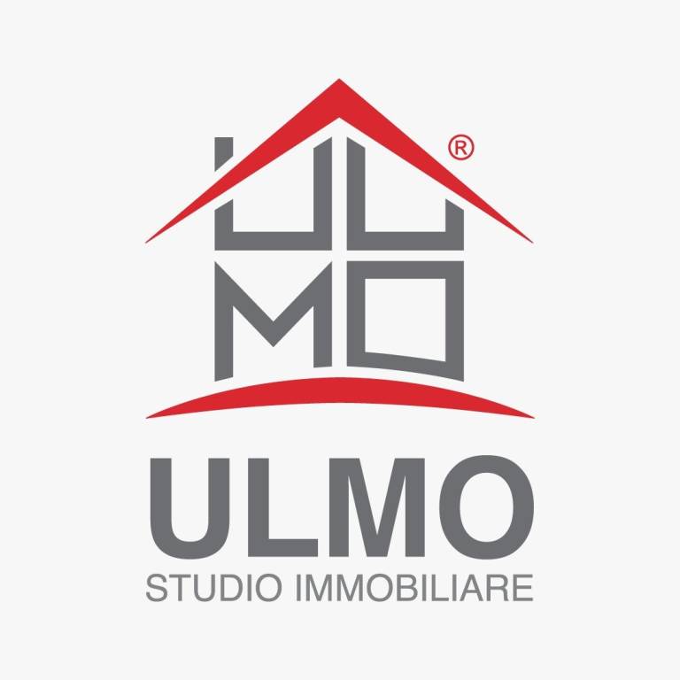 logo ULMO