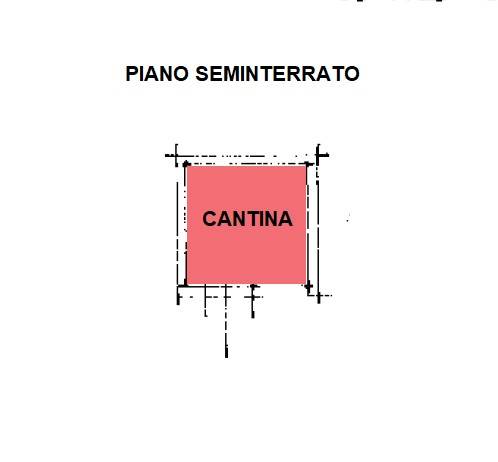 Planimetrie colorata cantina.png