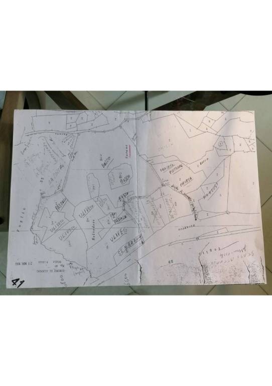 fg 41 Mappale (disegno)Terreno Feola GVP Catelde 1