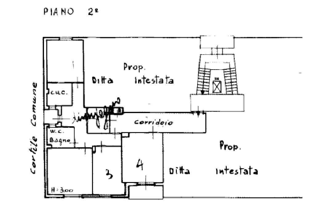 plani foto