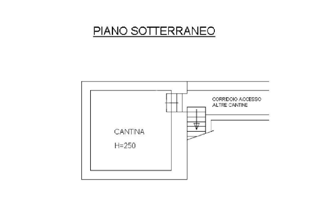 PLANIMETRIA CANTINA