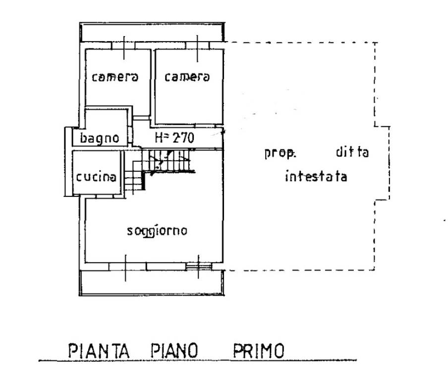 Cattura floride 2