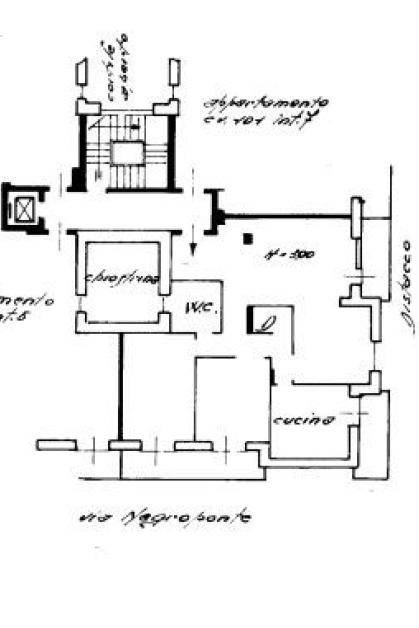 plan cat ritaglio