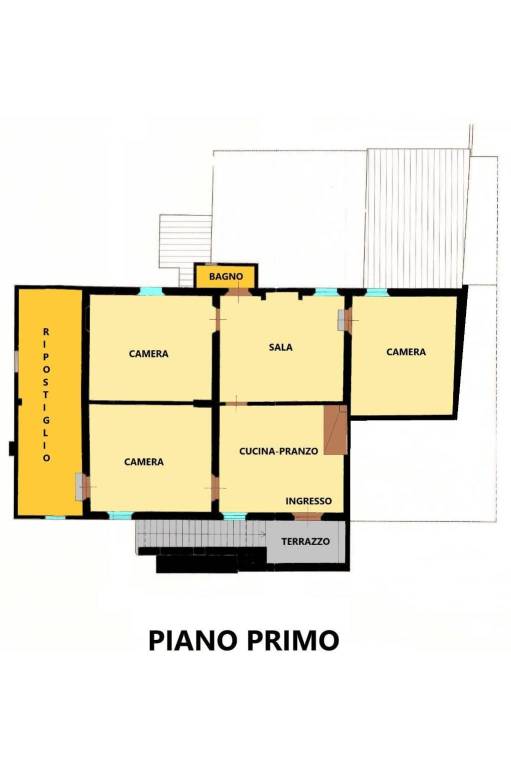 pianta primo piano