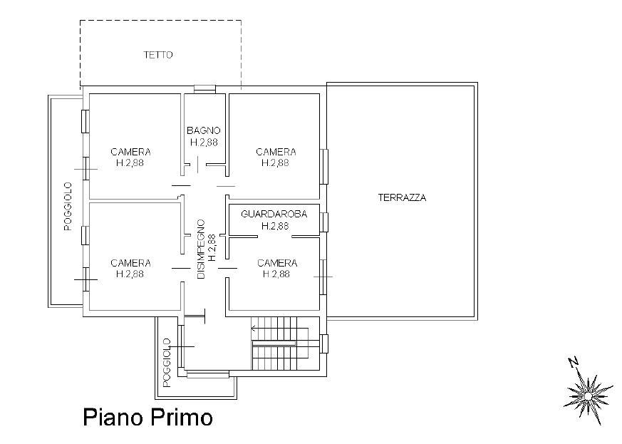 piano primo plan