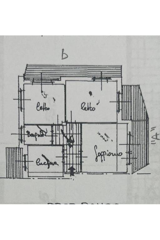 plaimetria