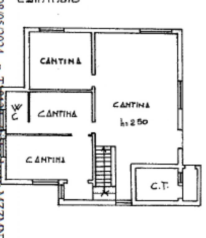 PLN CANTINATO