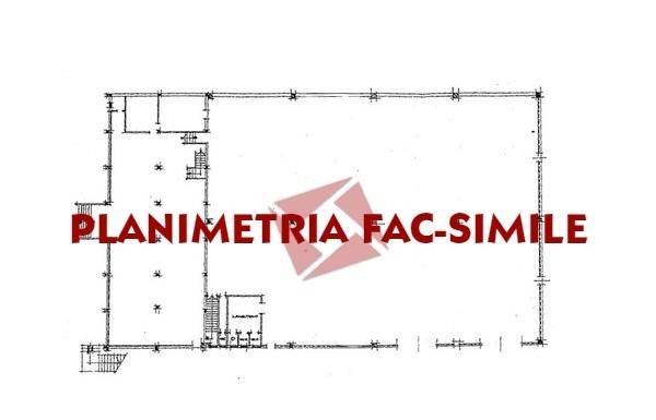 PLANIMETRIA FAC-SIMILE