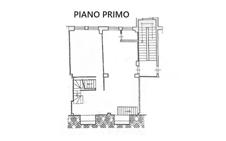 Pianta primo piano