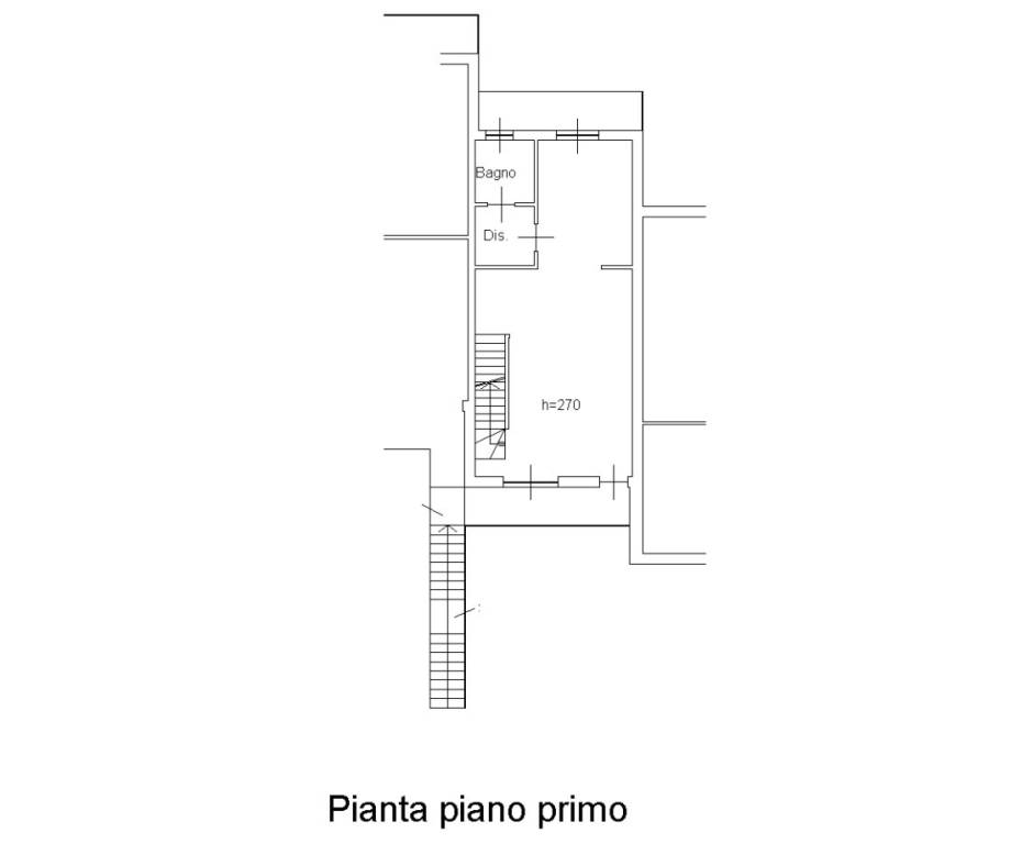 pianta primo piano