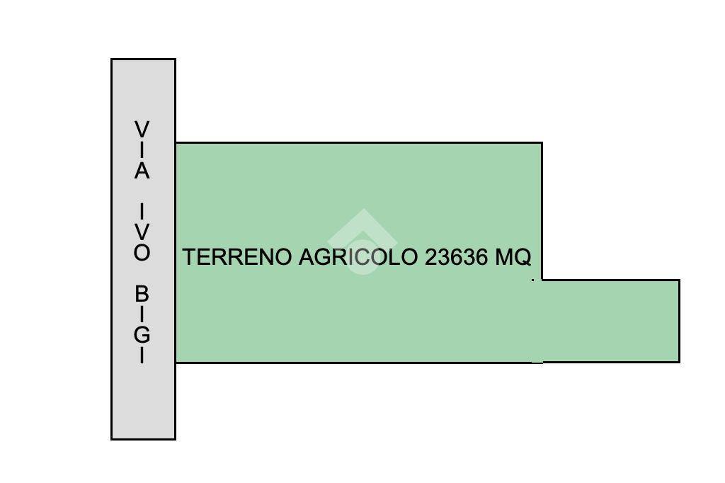 PLN TERRENO