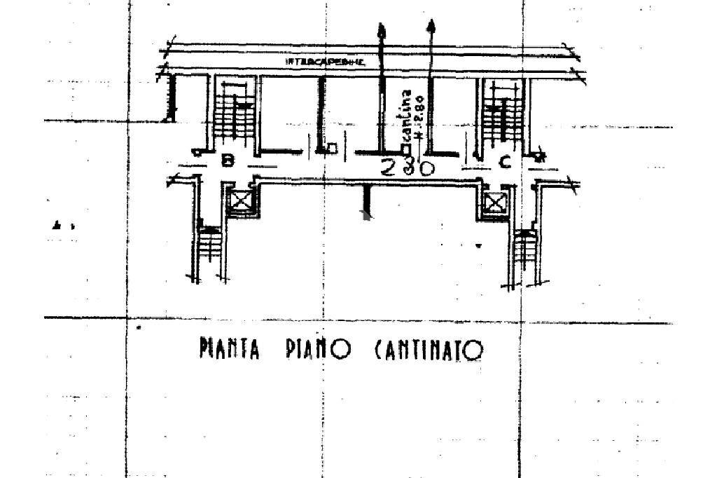 pln cantina