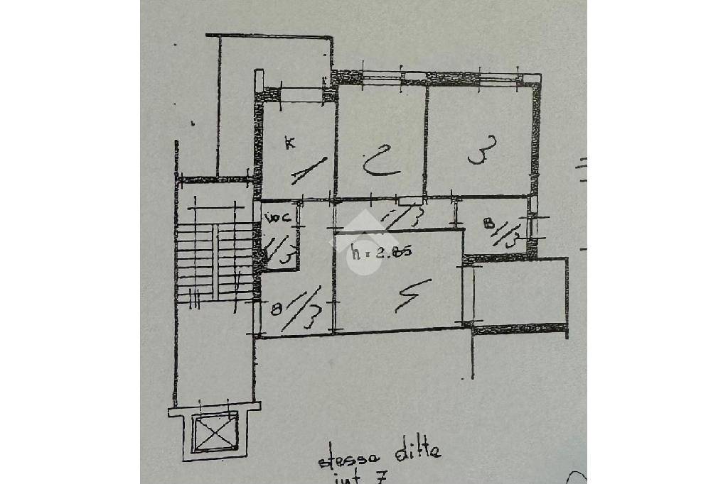 Plani