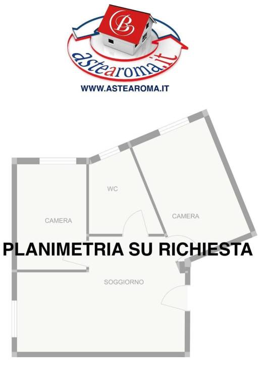 PLANIMETRIA SU RICHIESTA ASTE