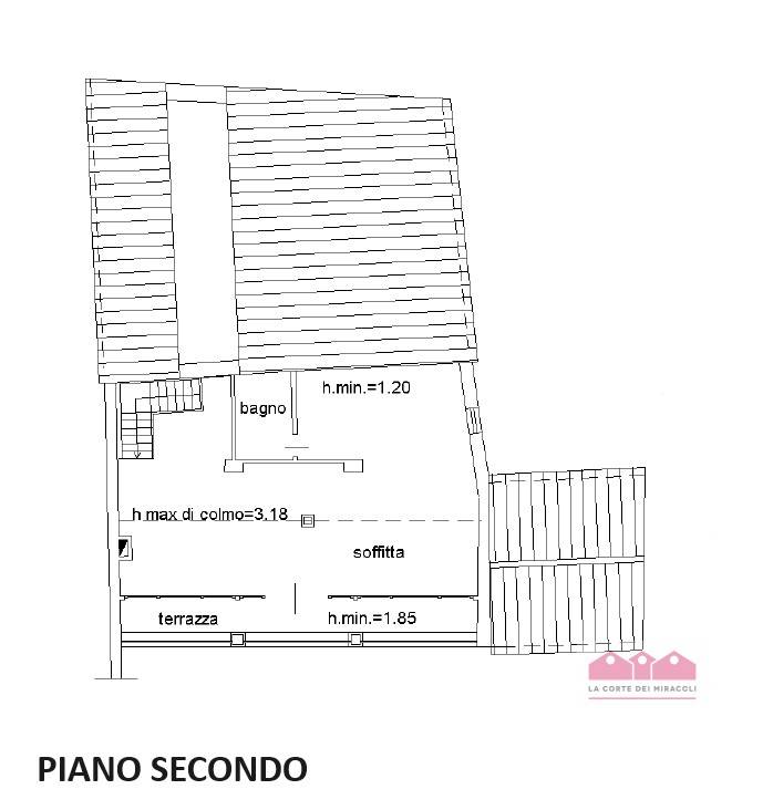 z3 vrus52 p  secondo wmk 0