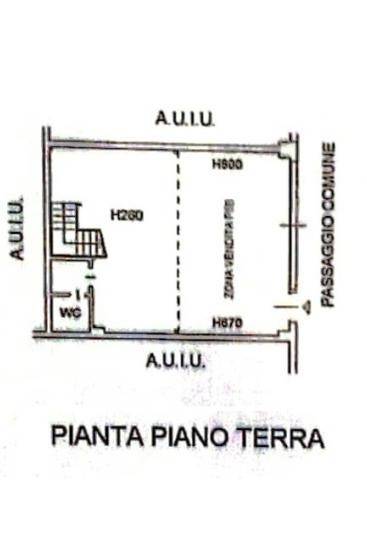 Piantina