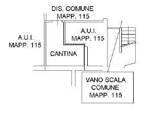 Planimetria cantina