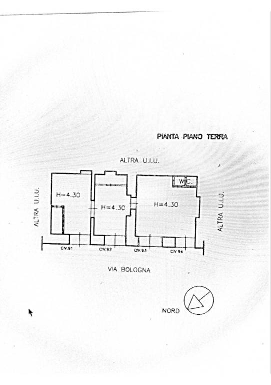 PLN v. Bologna 91-94 1