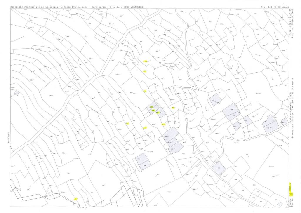 ESTRATTO DI MAPPA AGGIORNATO 1