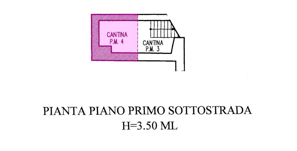 Piantina cantina copia