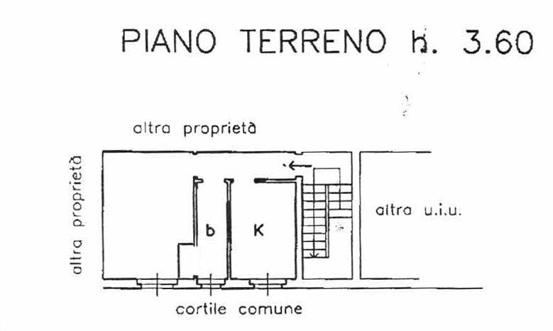 planimetria-curio-dentato-6