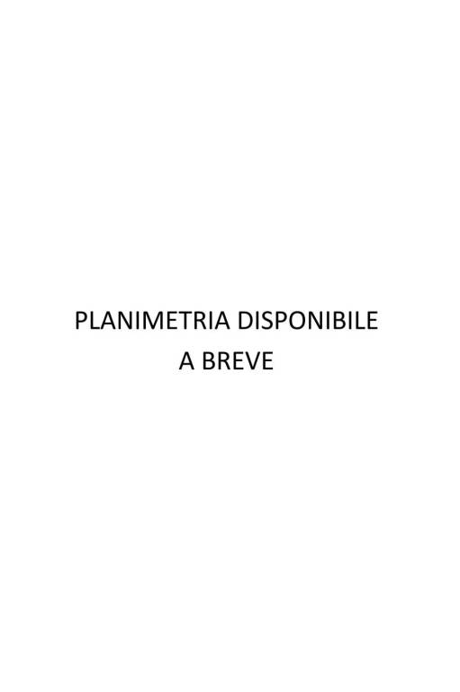 PLANIMETRIA DISPONIBILE 1