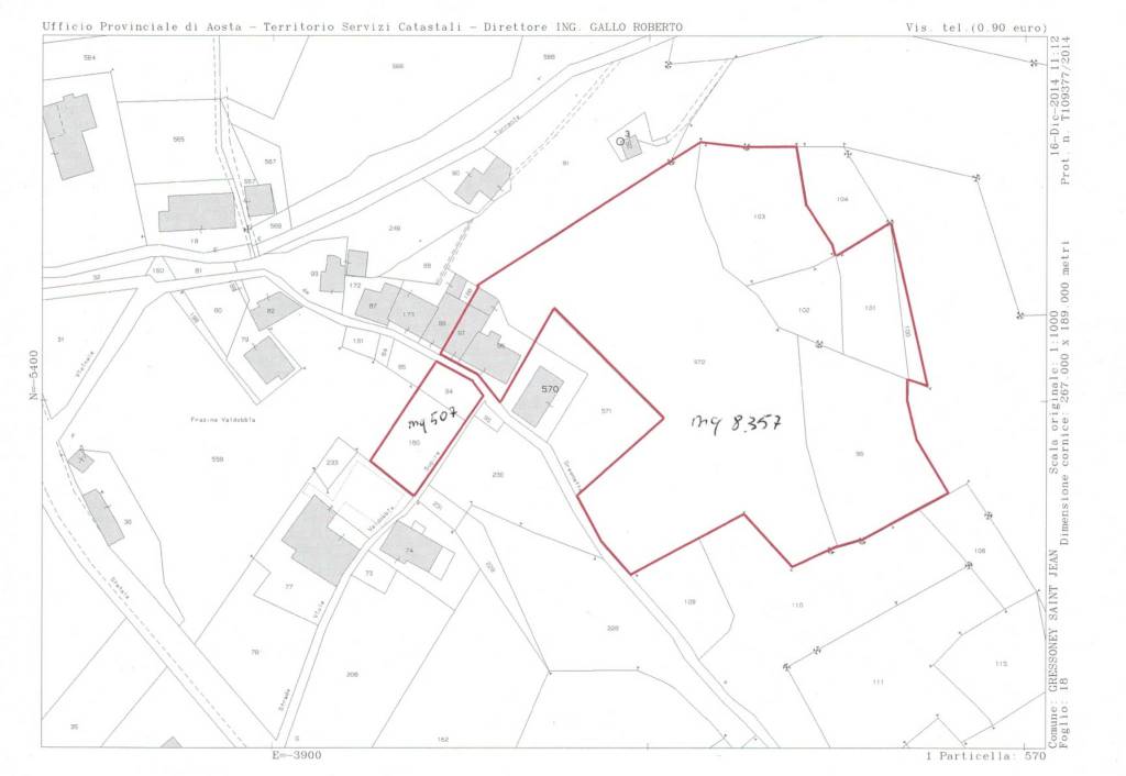 ESTRATTO DI MAPPA AREA ESTERNA