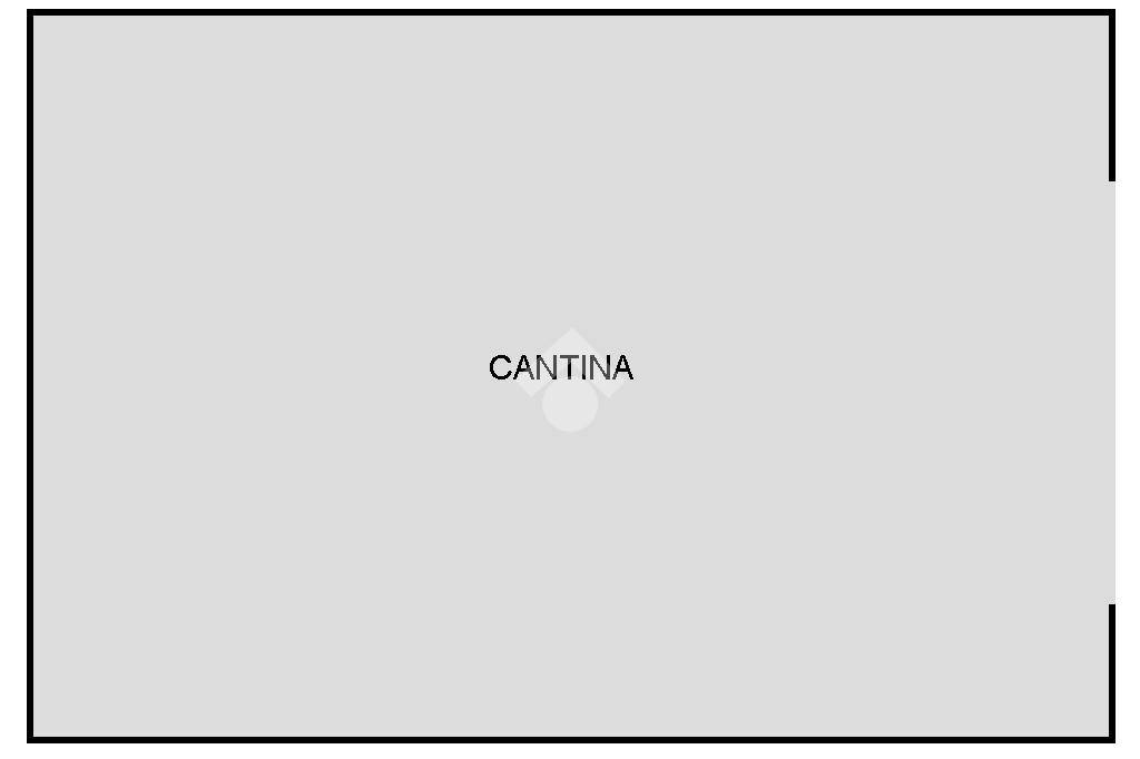 PIANTINA CANTINA