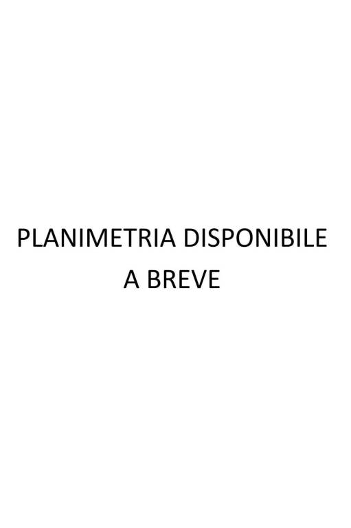 PLANIMETRIA DISPONIBILE 1