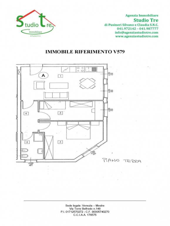 pianta web v579