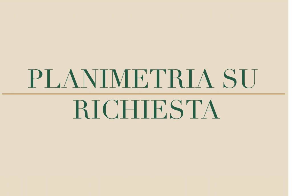 PLANIMETRIA SU RICHIESTA copia