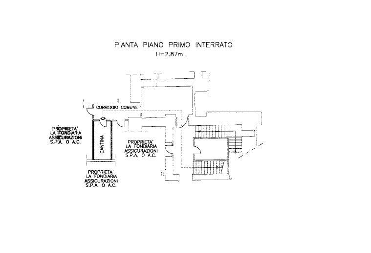 PLN_Cantina cat