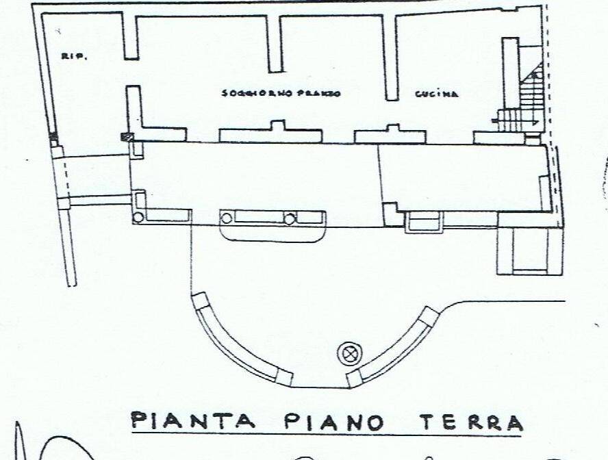 palmeto pt