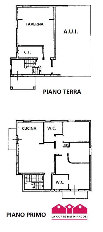 z1 vt53 p terra e primo 1