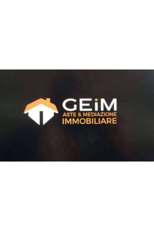 Logo geim nero_page-0001