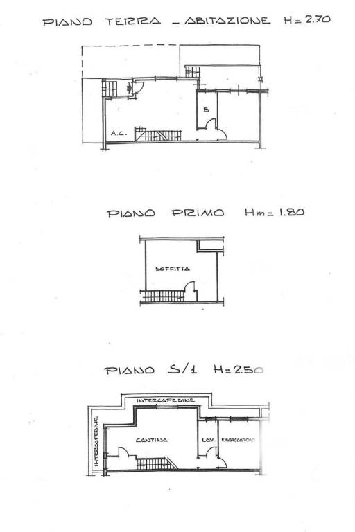 Piantina