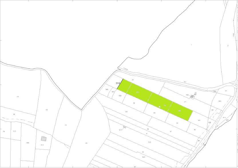 Estratto new evidenziato jpeg