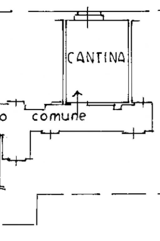 PLANIMETRIA CANTINA