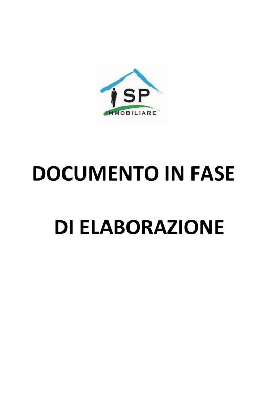 Documento in Elaborazione 1