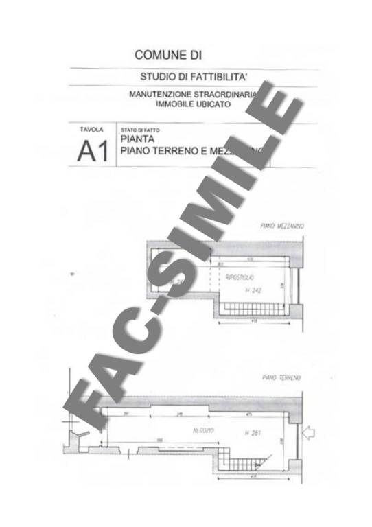 PLANIMETRIA FACSIMILE 1