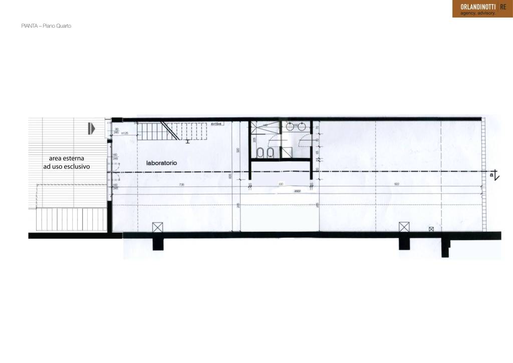 Piante Stendhal 250l 1